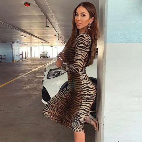 High Neck Leopard Long-sleeved Printed Dress Long Skirt Dress